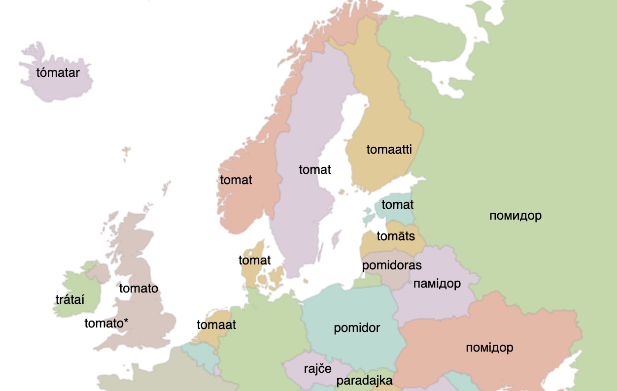 European word translator